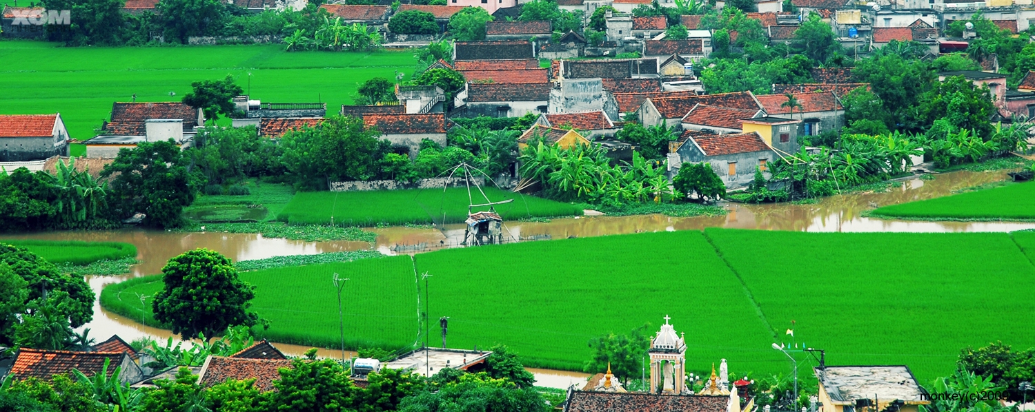 Sửa một số quy định về điều kiện đầu tư, kinh doanh lĩnh vực nông nghiệp
